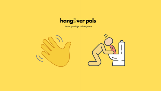 Bye Bye Hangover: How to Outsmart Your Worst Morning-After Ever - hangover pals
