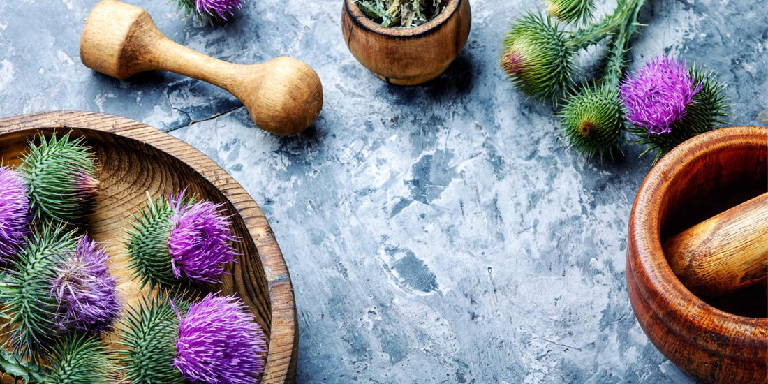 Milk Thistle and Hangovers - hangover pals