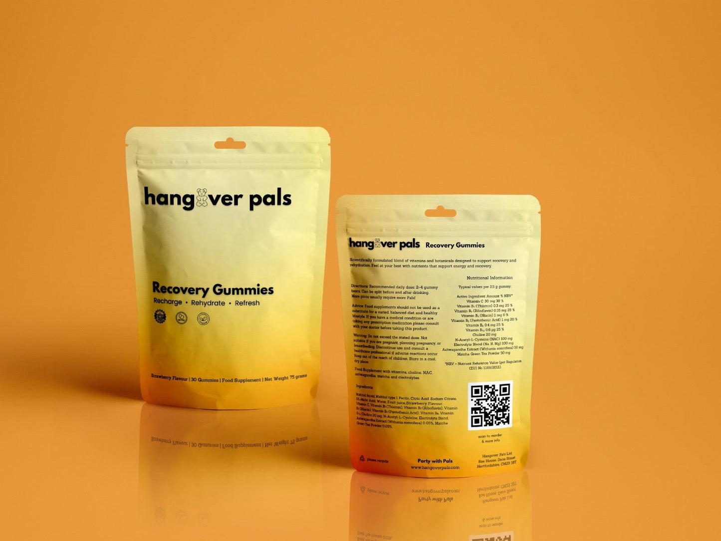 Recovery Pals - hangover pals