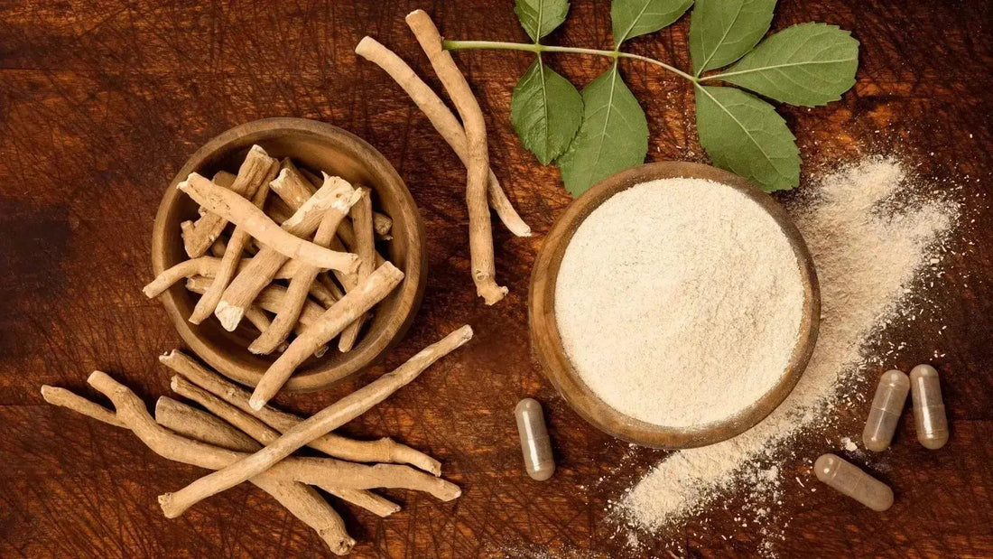 Ashwagandha for Hangovers: How It Speeds Recovery & Relieves Hangxiety in 2026 - hangover pals