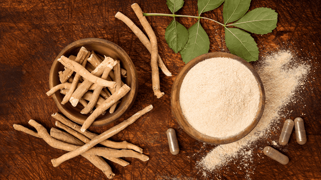 Ashwagandha for Hangovers: How It Speeds Recovery & Relieves Hangxiety in 2026 - hangover pals