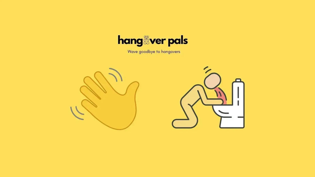 Bye Bye Hangover: How to Outsmart Your Worst Morning-After Ever - hangover pals