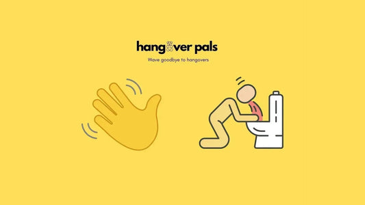 Bye Bye Hangover: How to Outsmart Your Worst Morning-After Ever - hangover pals
