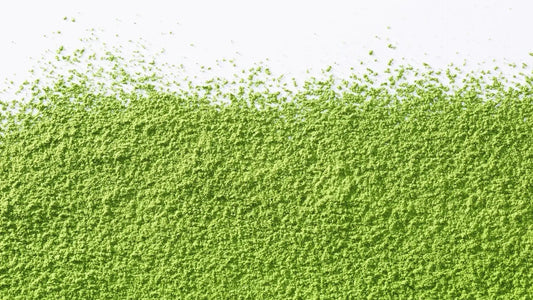 How Matcha for Hangover Relief Works: Benefits, Science & Recipes 2026 - hangover pals