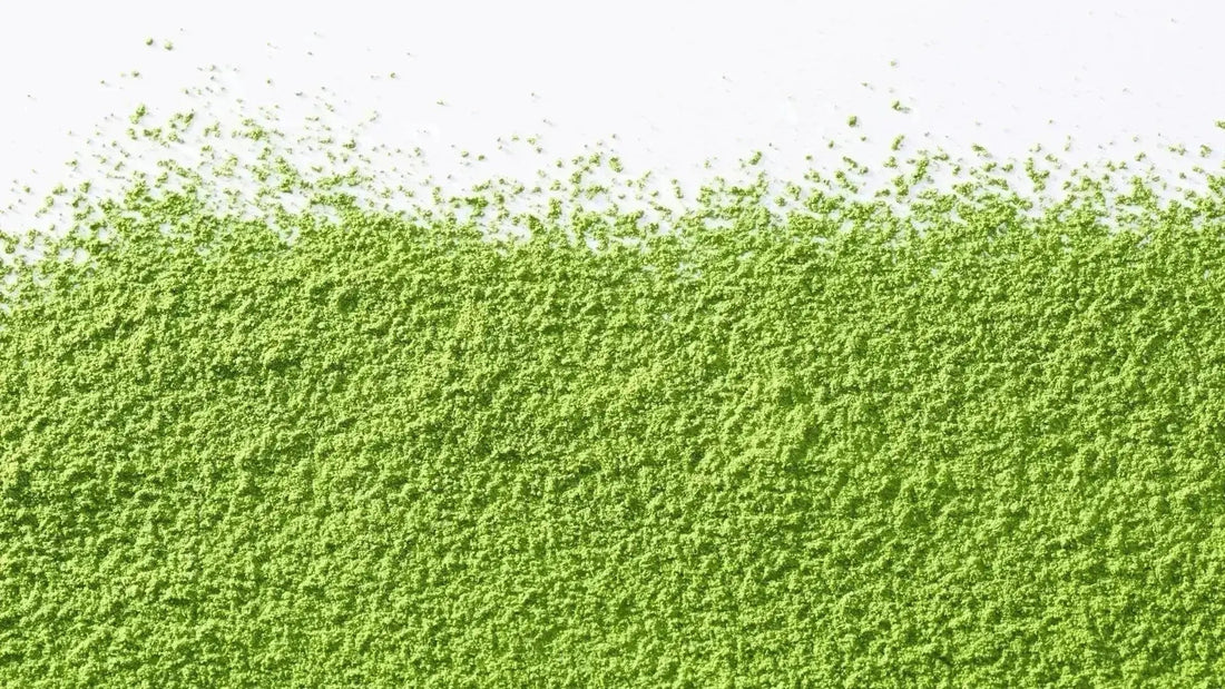 How Matcha for Hangover Relief Works: Benefits, Science & Recipes 2026 - hangover pals
