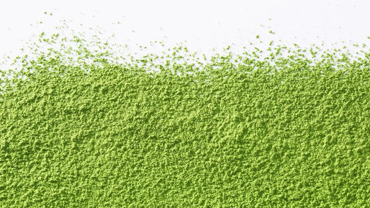 How Matcha for Hangover Relief Works: Benefits, Science & Recipes 2026 - hangover pals