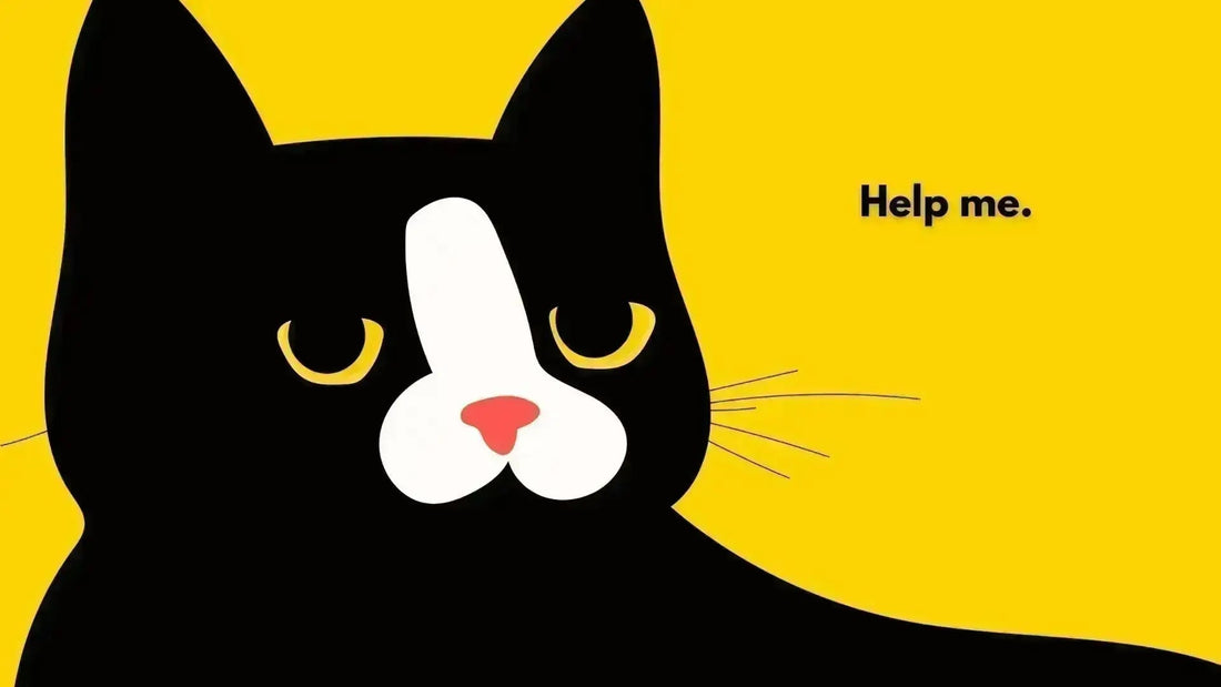 How to feel better fast after a hangover (UK guide) - hangover pals
