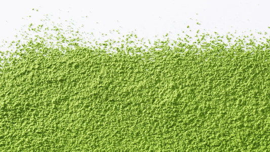 Why Matcha is a Key Ingredient for Hangover Relief - hangover pals