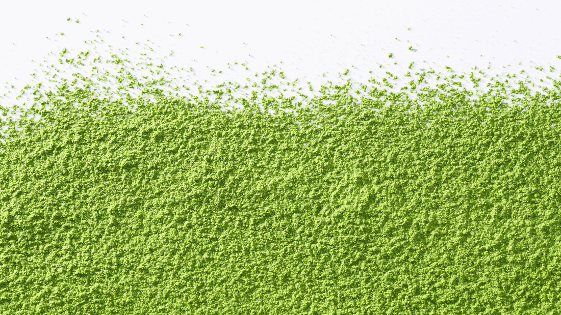 Why Matcha is a Key Ingredient for Hangover Relief - hangover pals