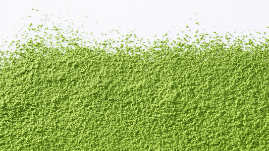 Why Matcha is a Key Ingredient for Hangover Relief - hangover pals