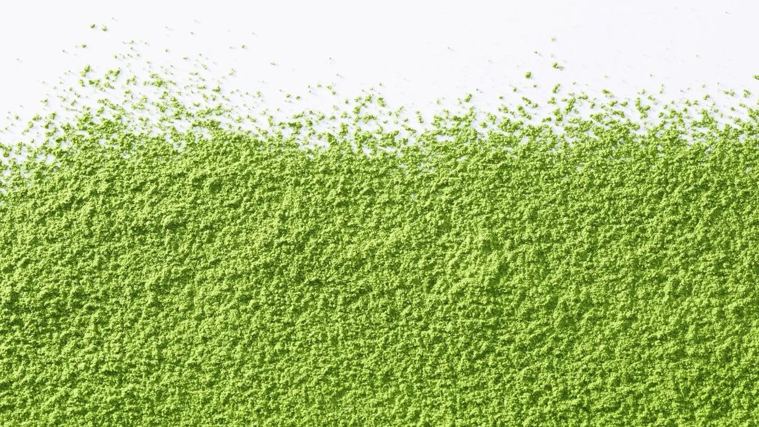 Why Matcha is a Key Ingredient for Hangover Relief - hangover pals