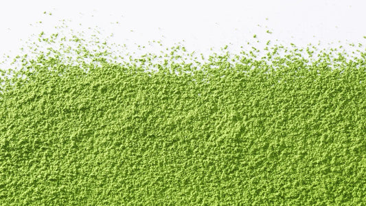 Why Matcha is a Key Ingredient for Hangover Relief - hangover pals