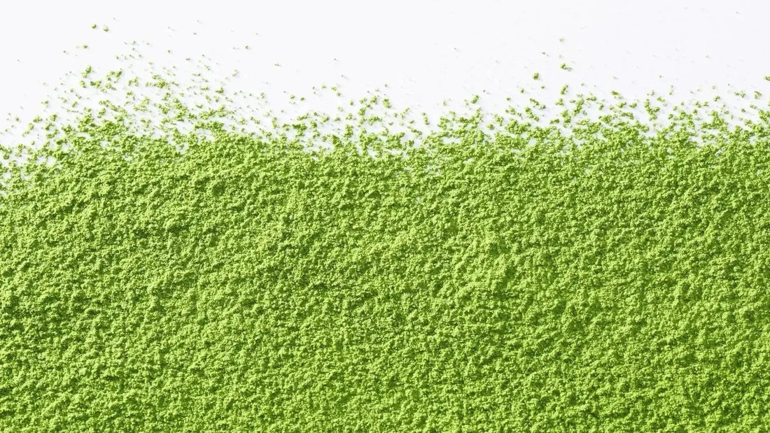 Why Matcha is a Key Ingredient for Hangover Relief - hangover pals