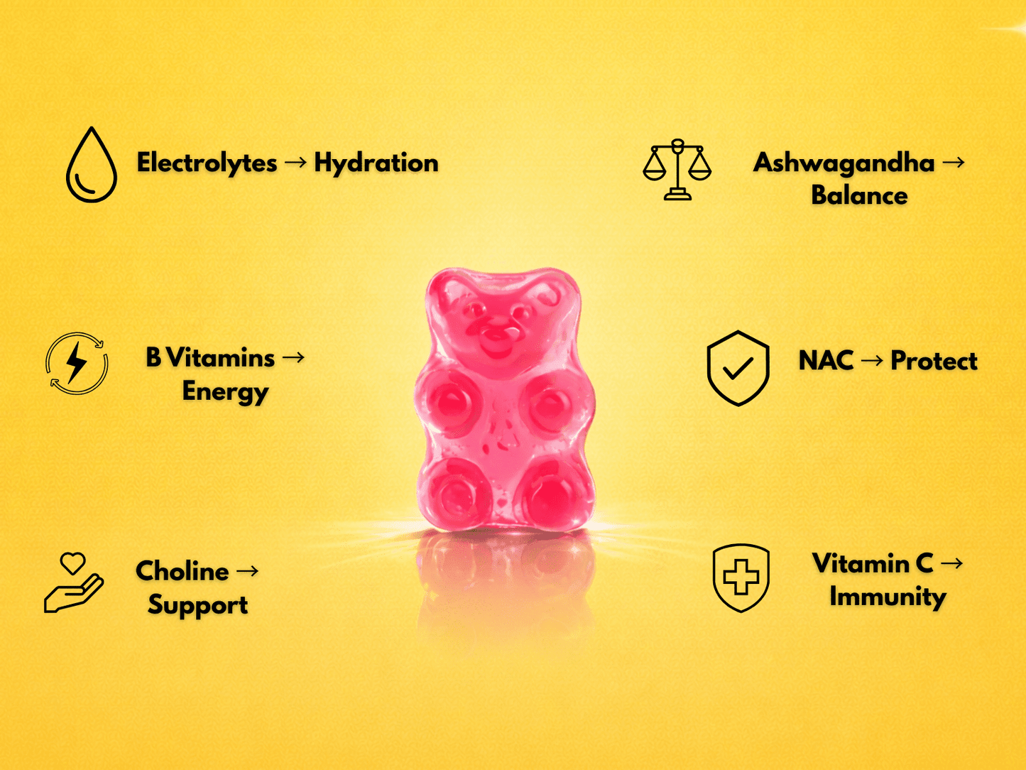 Recovery Pals - hangover pals